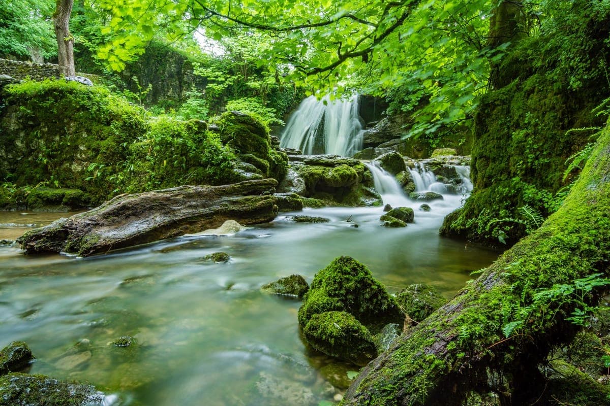 Hidden waterfall cascading over mossy rocks on the tubing route